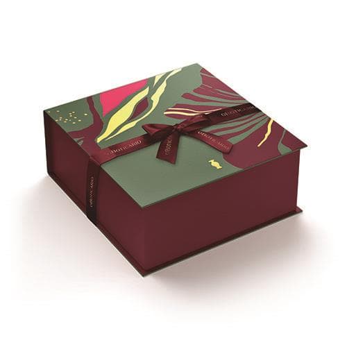 Caixa Top M Maes 2023